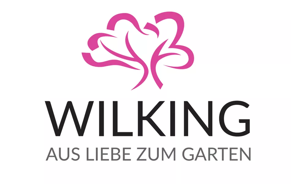 Mirko Wilking