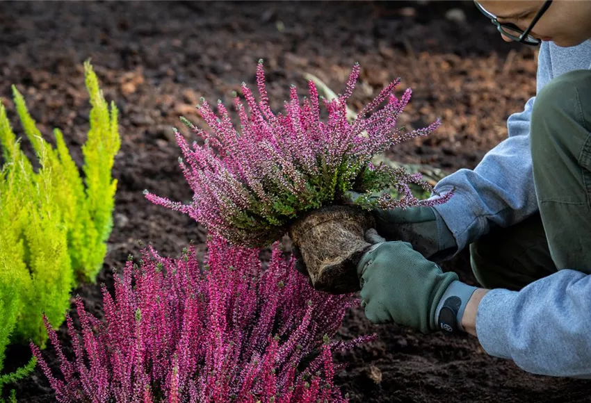 Gärtner Fachrichtung Garten- und Landschaftsbau (m/w/d)