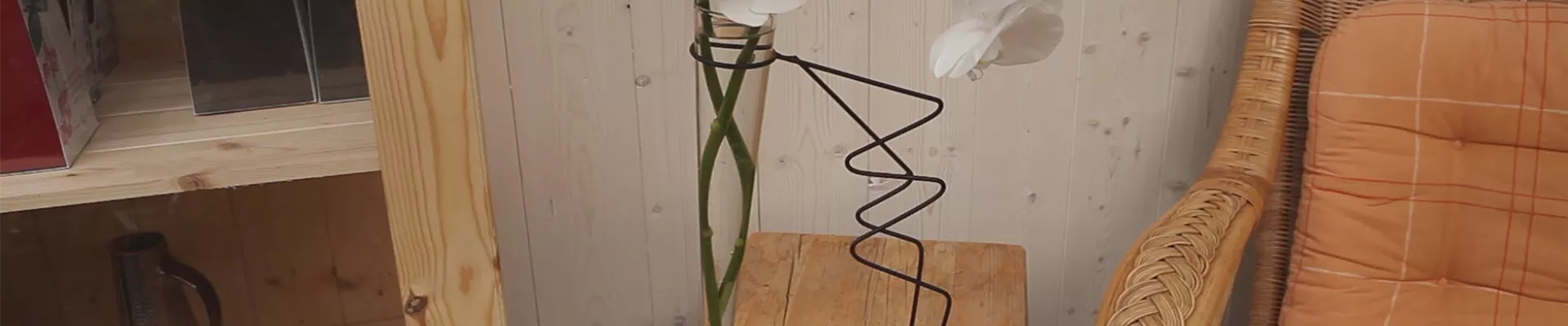 Orchidee - Anschneiden für den Heimgebrauch (thumbnail) Orchidee - Anschneiden für den Heimgebrauch (thumbnail)