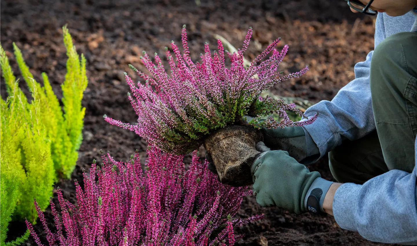 Gärtner Fachrichtung Garten- und Landschaftsbau (m/w/d) Gärtner Fachrichtung Garten- und Landschaftsbau (m/w/d)