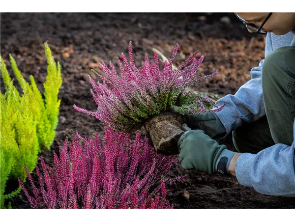 Gärtner Fachrichtung Garten- und Landschaftsbau (m/w/d)