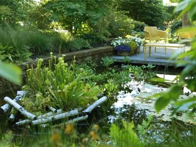 Gartengestaltung - Waldgarten Gartengestaltung - Waldgarten
