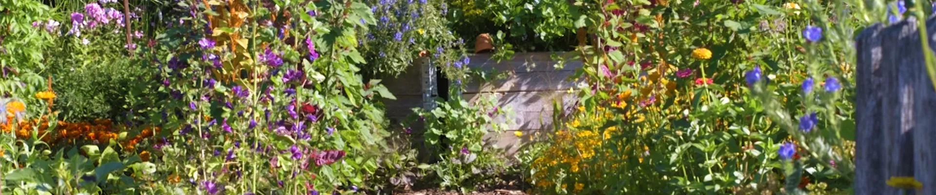 Gartengestaltung - Bauerngarten (Thumbnail) Gartengestaltung - Bauerngarten (Thumbnail)