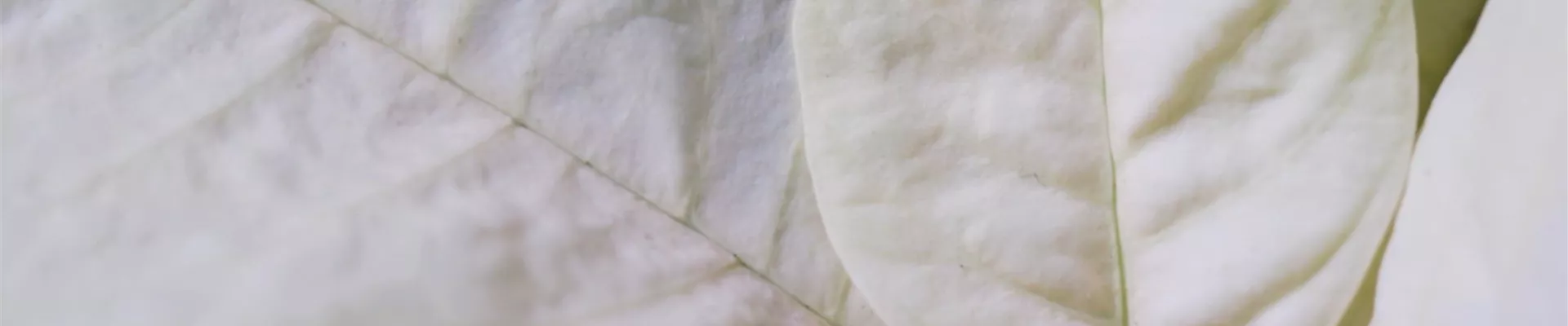 Ashampoo_Snap_Dienstag, 21. Juni 2022_10h55m30s_005_