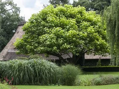 Frühjahrskur für Ihren Rasen