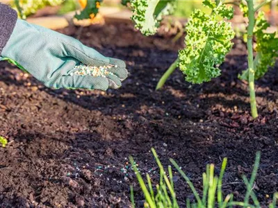 Dünger ist nicht gleich Dünger