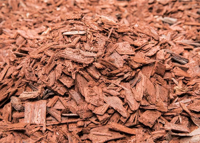 Der Mulch macht’s Der Mulch macht’s